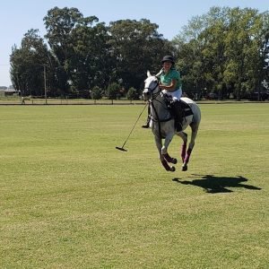 clases de polo