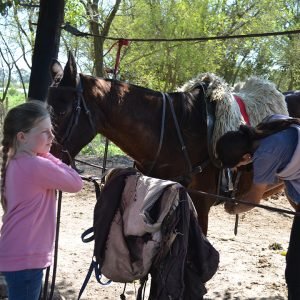 cabalgatas infantiles