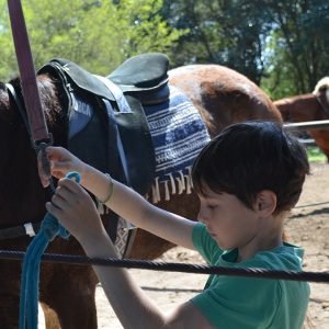 cabalgatas infantiles