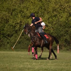 partido de polo